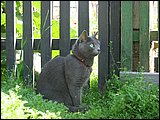 05.JPG
