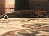 06.JPG