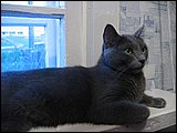 07.JPG