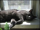 08.JPG
