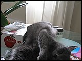 11.JPG