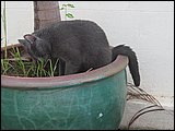 12.JPG